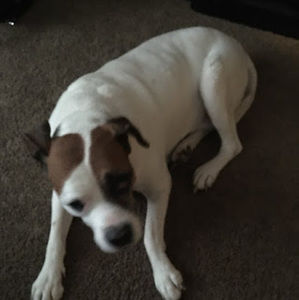 Meet your Posher, Kirito